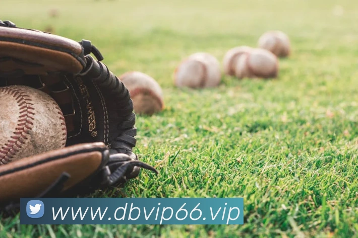 企业概况